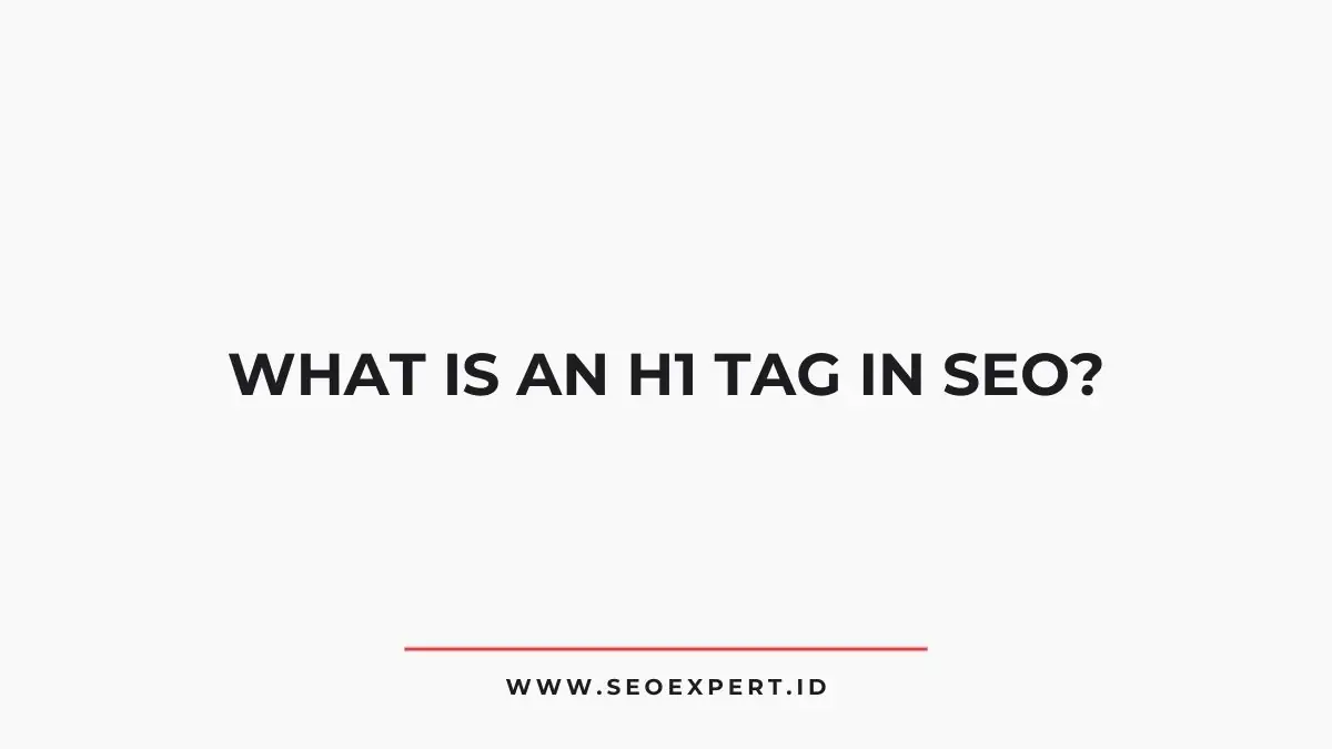 H1 Tag