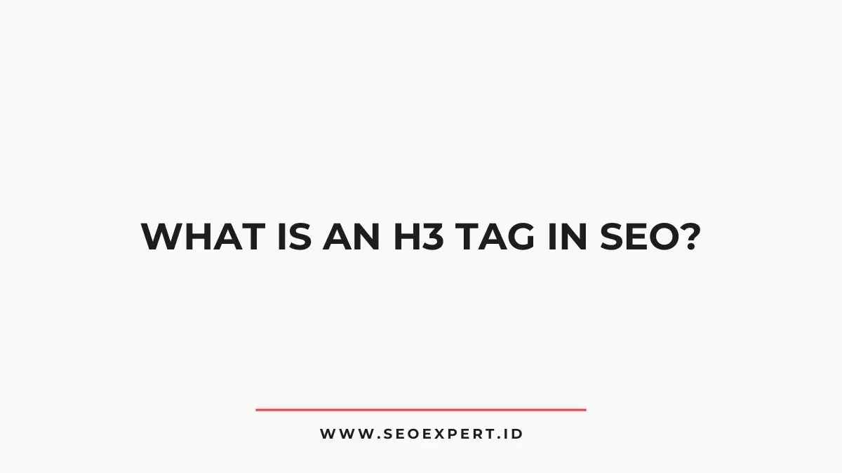 H3 Tag